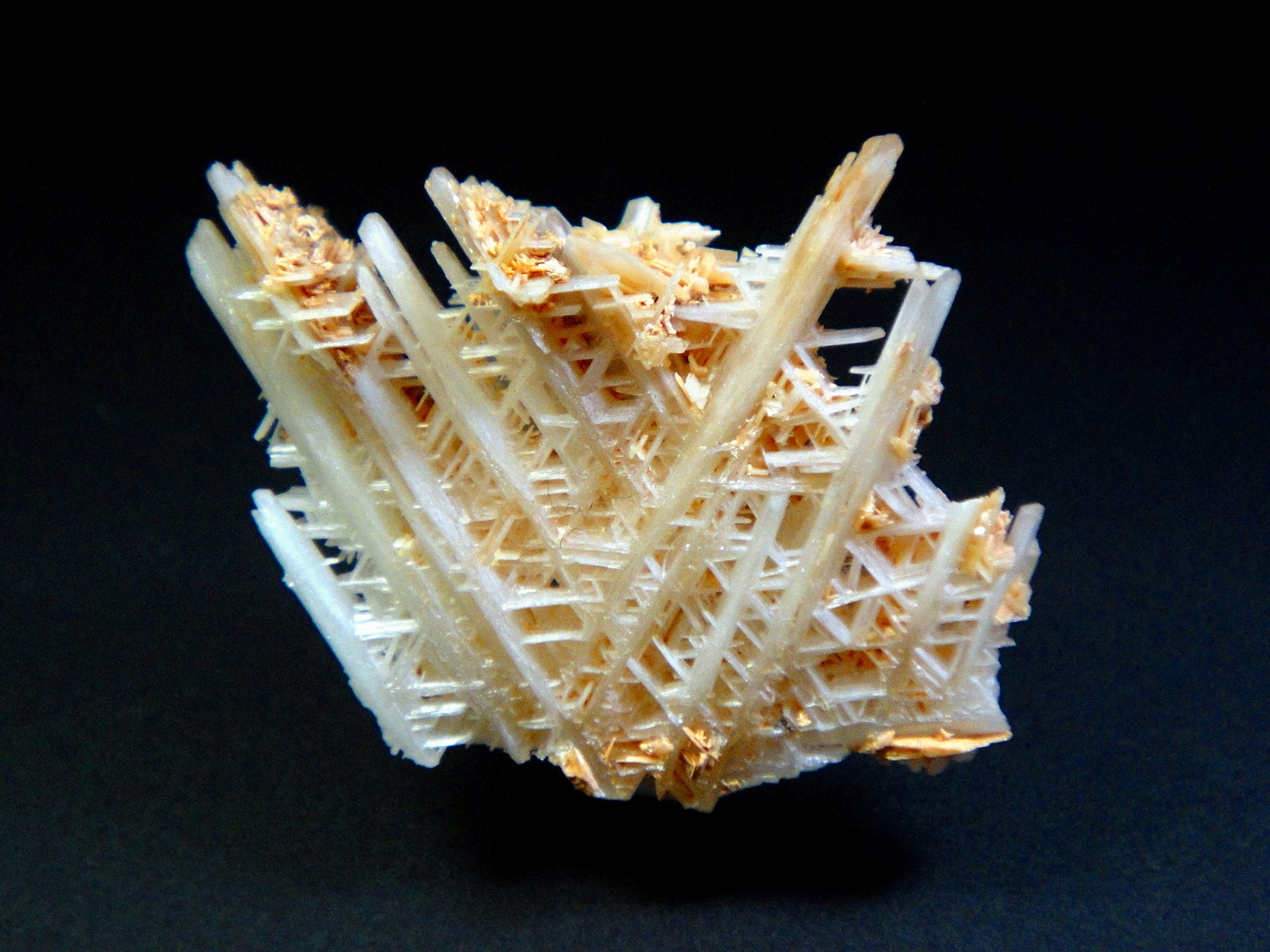 Cerusita
3 x 3 cm.
(Autor: Antonio P. López)