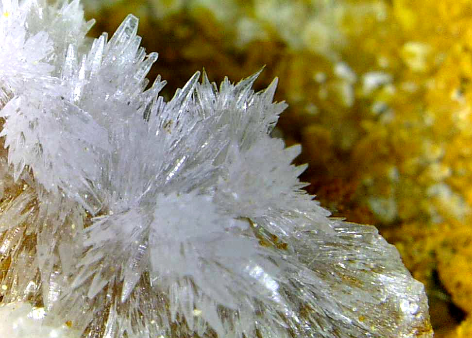 Estroncianita
Campo de visión 10 mm.
(Autor: Antonio P. López)