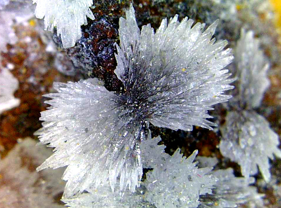 Estroncianita
Campo de visión 10 mm.
(Autor: Antonio P. López)