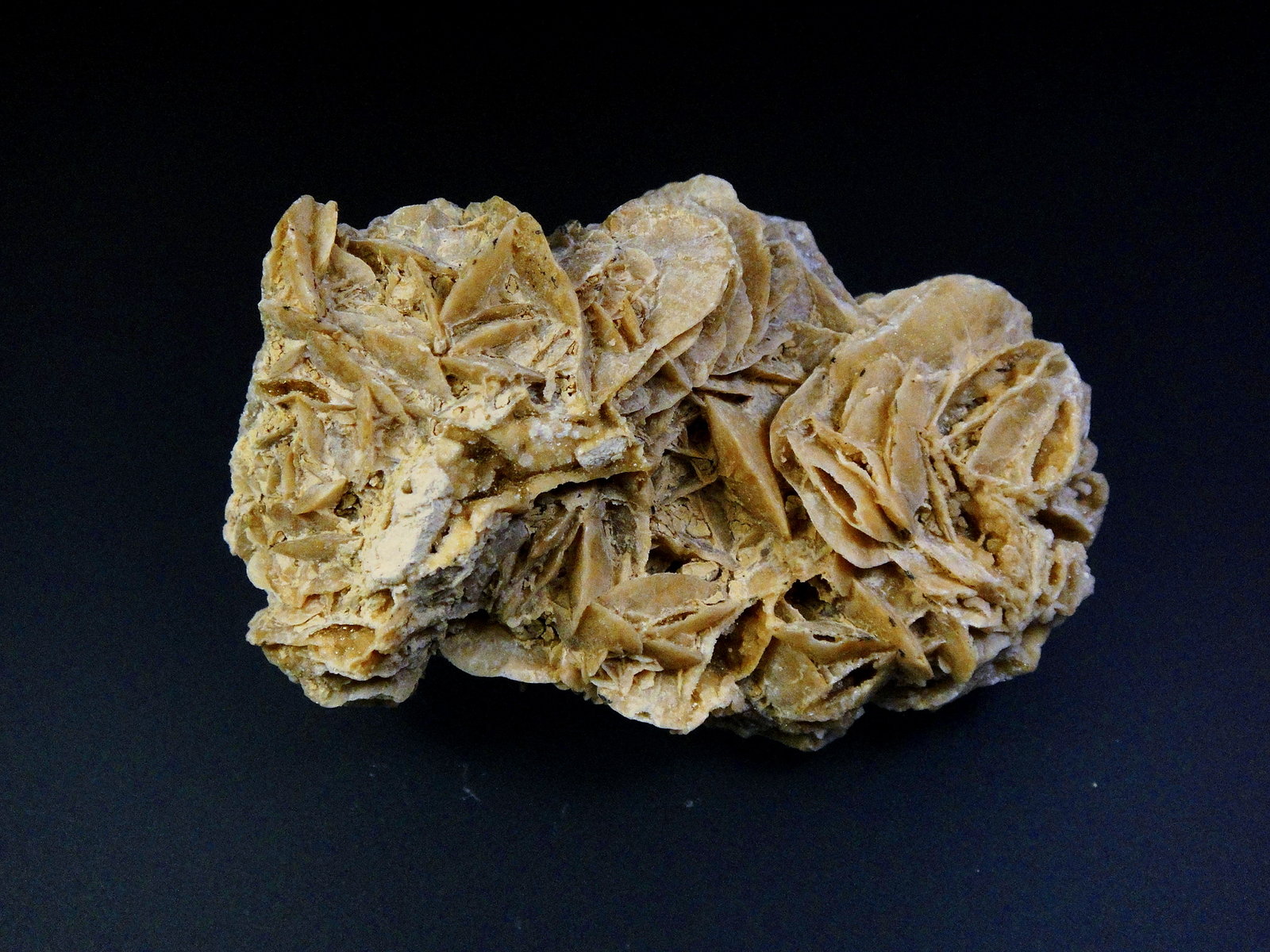 Calcita pseudomórfica de Yeso
6 x 3 cm.
(Autor: Antonio P. López)