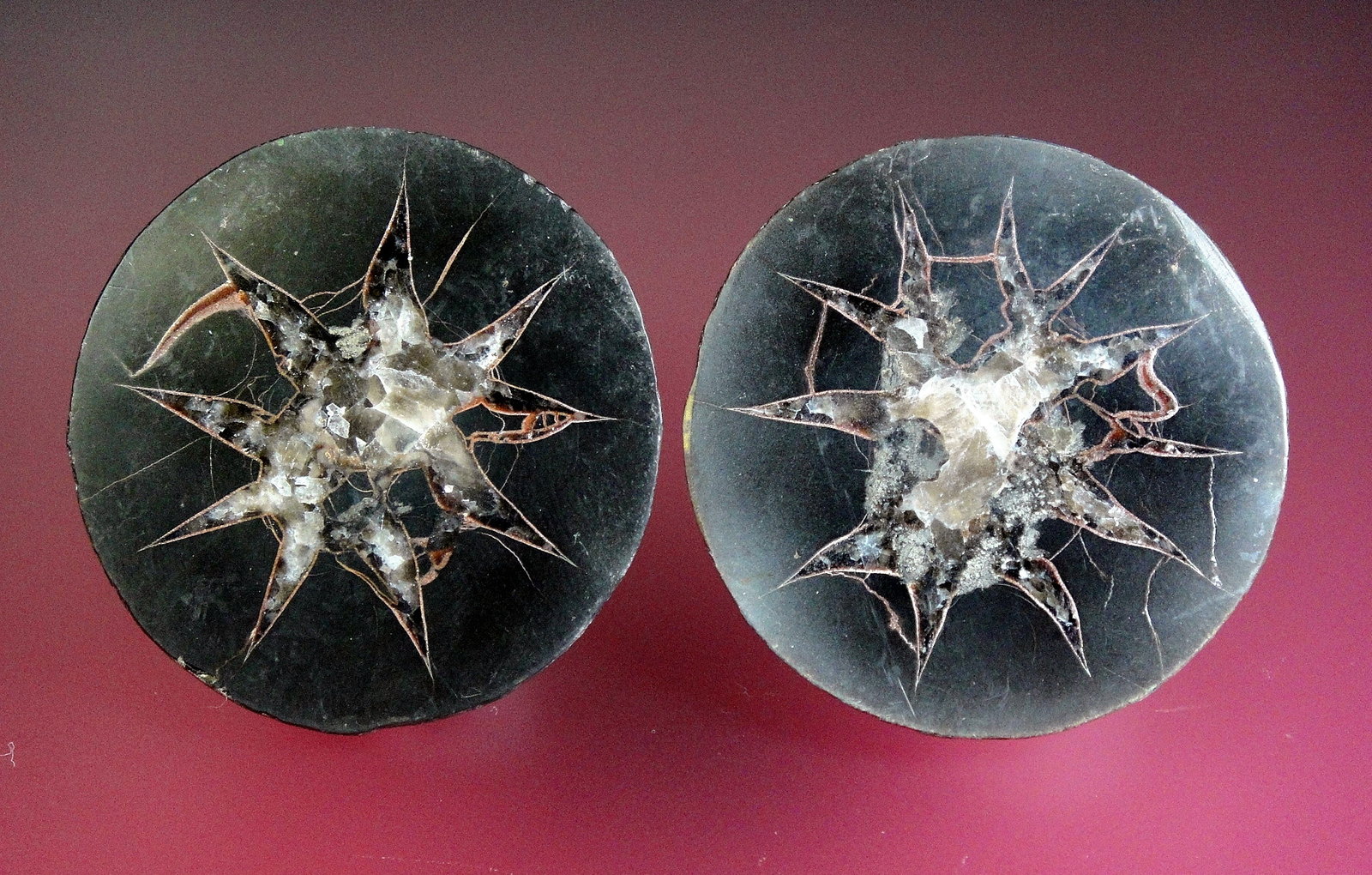 Calcita (variedad septaria)
5 x 5 cm.
(Autor: Antonio P. López)