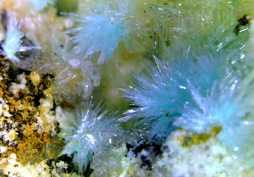 Aurichalcita (Auricalcita), Hemimorfita
Campo de visión 8 mm.
(Autor: Antonio P. López)