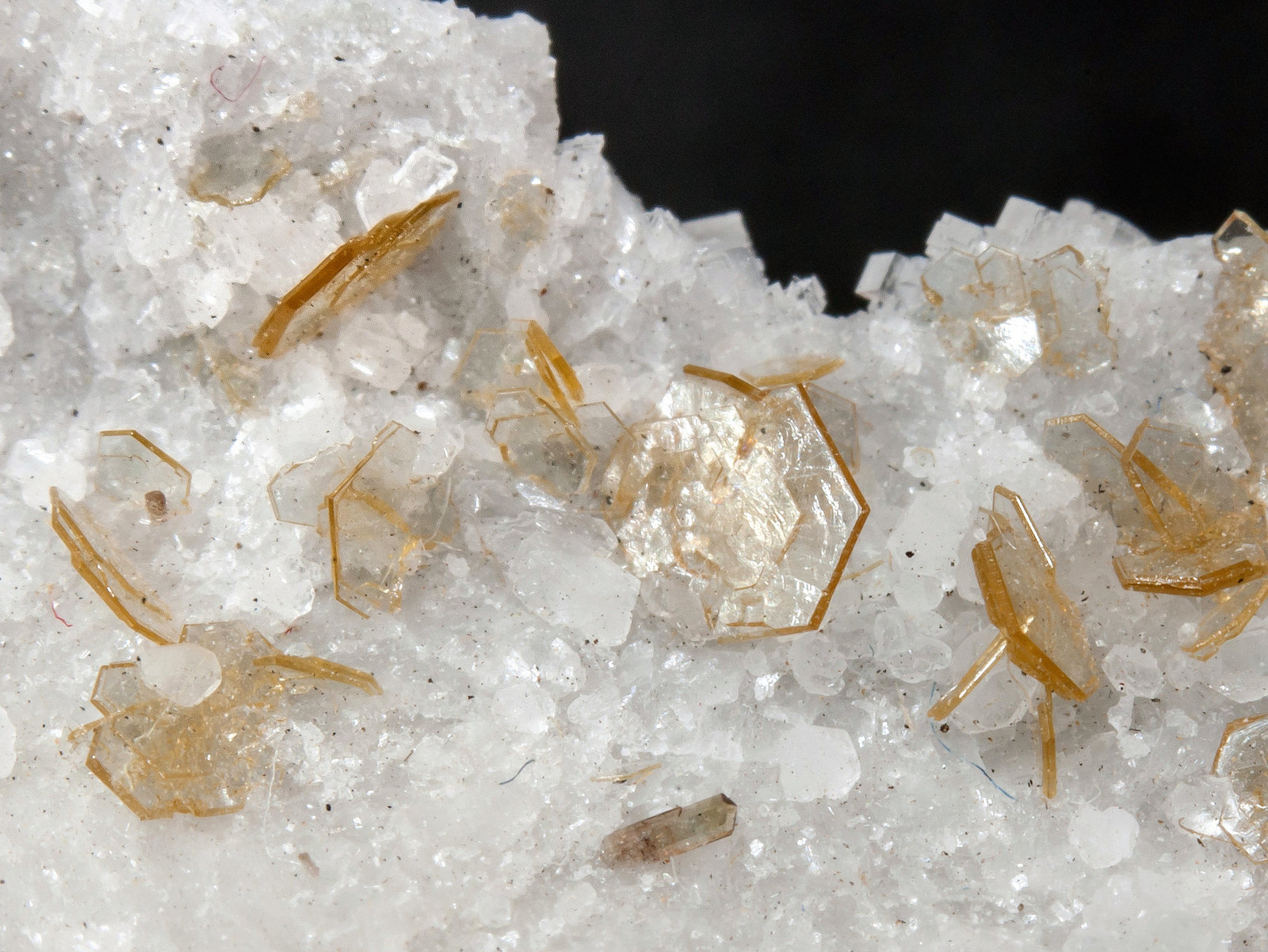 Hidroxilbastnäsita-(Ce) [Hydroxylbastnäsite-(Ce)] en Dolomita [Dolomite]
Campo de visión 2 cm.
(Autor: Antonio P. López)