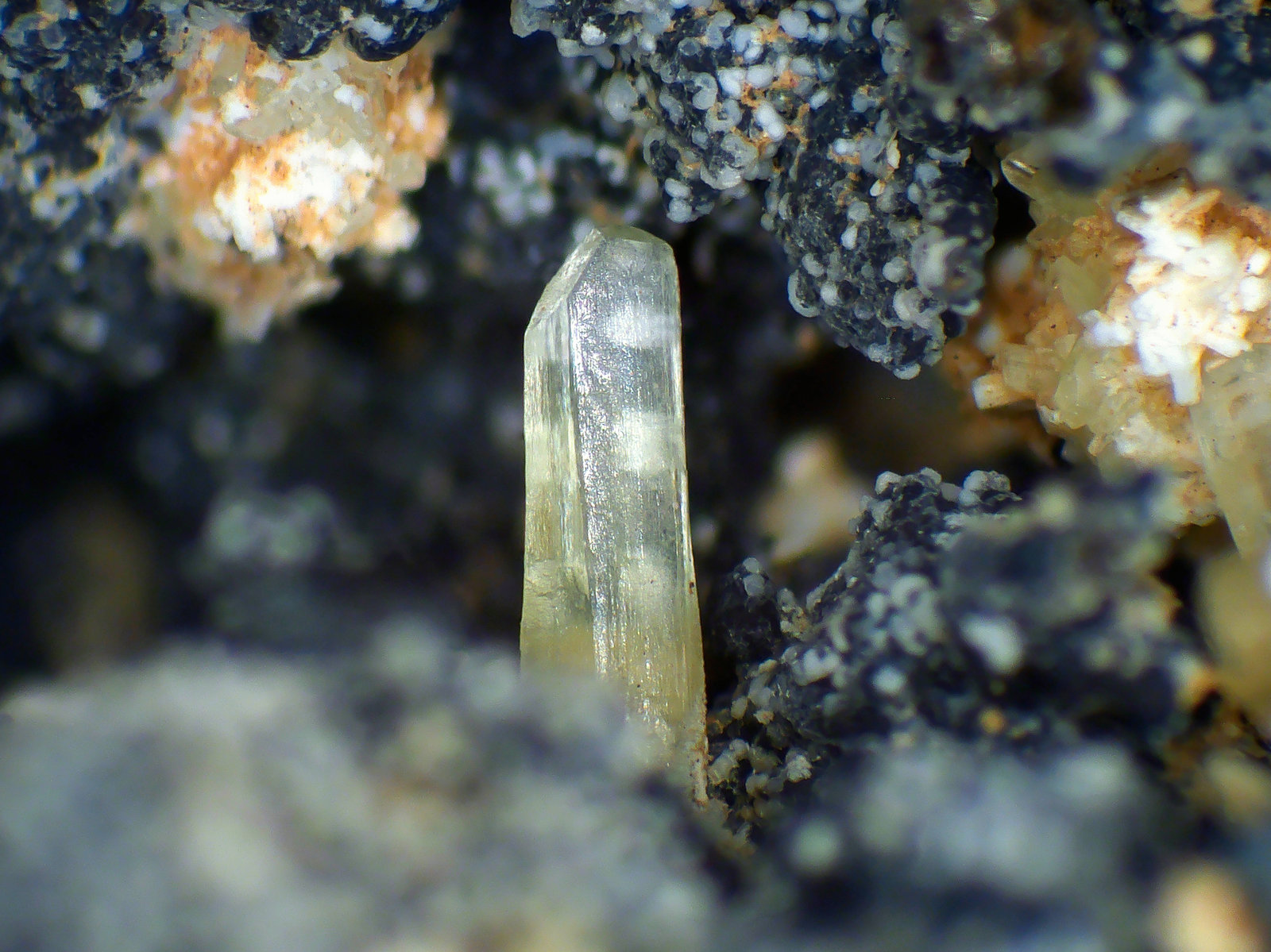 Cerusita
Cristal de 2 mm.
(Autor: Antonio P. López)