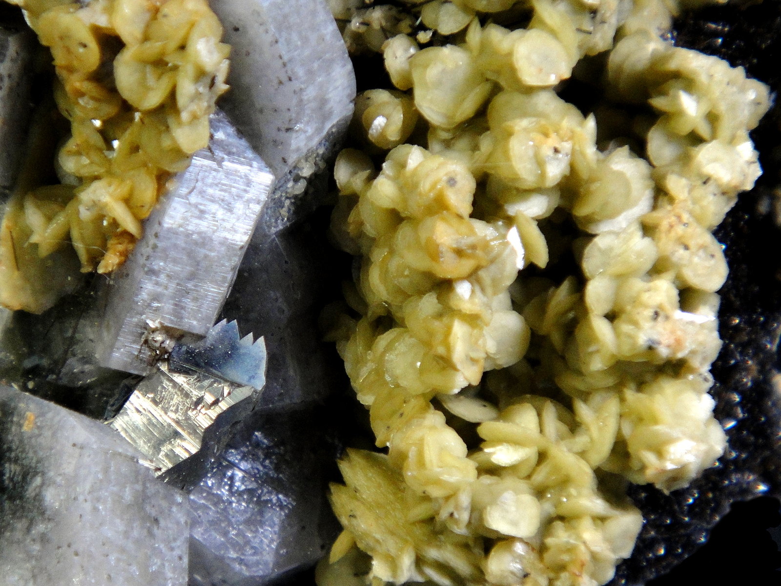Siderita, Fluorapatito, Arsenopirita
Campo de visión 2 cm.
(Autor: Antonio P. López)
