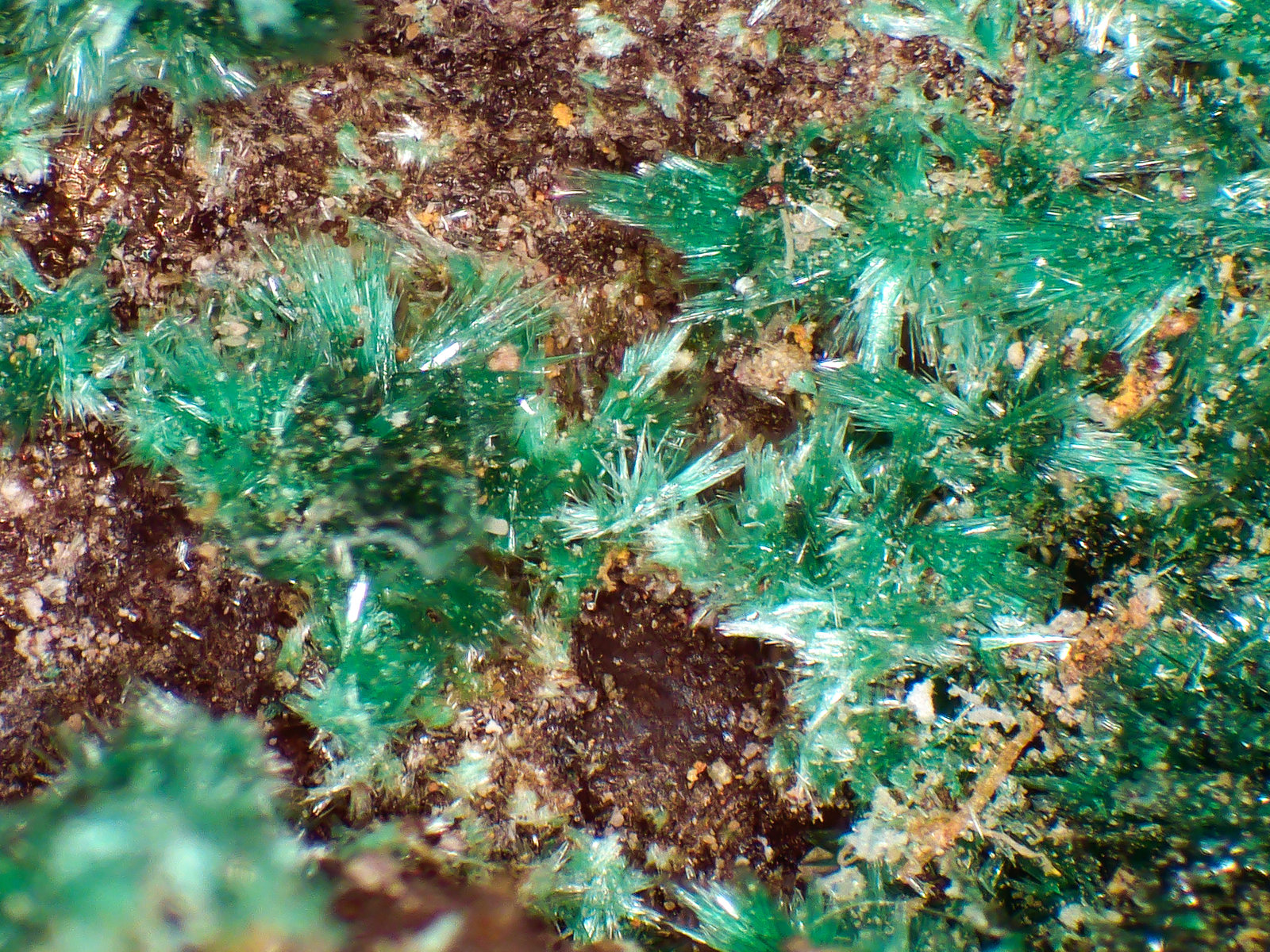 Malaquita
Campo de visión 4 mm.
(Autor: Antonio P. López)