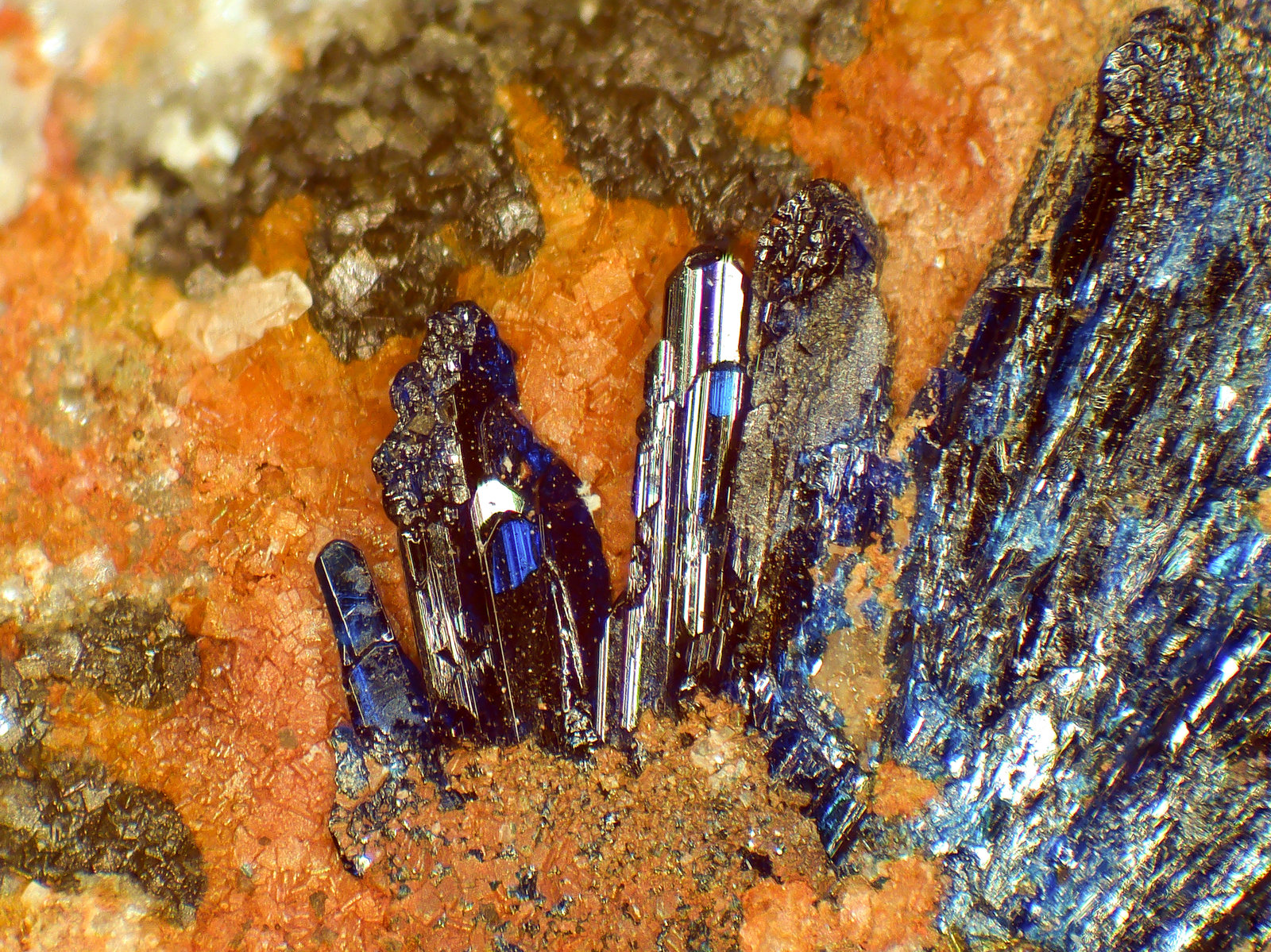Azurita
Cristales de hasta 5 mm.
(Autor: Antonio P. López)