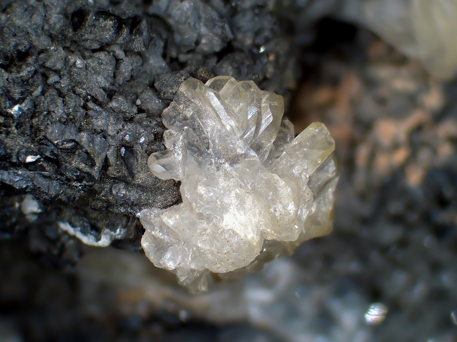 Cerusita, Galena
Grupo de cristales de 7 mm.
(Autor: Antonio P. López)