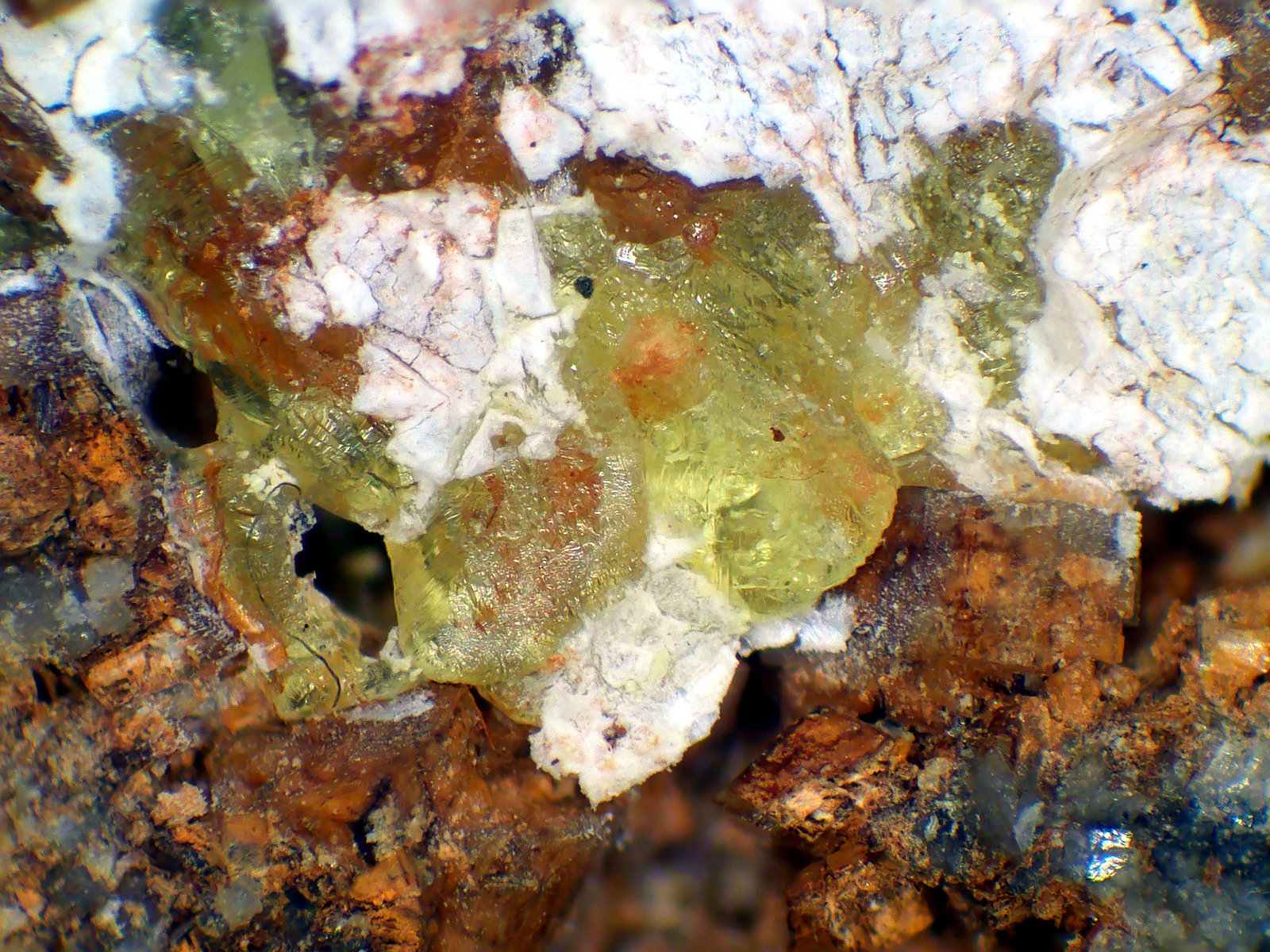 Liebigita
Campo de visión 3 mm.
(Autor: Antonio P. López)