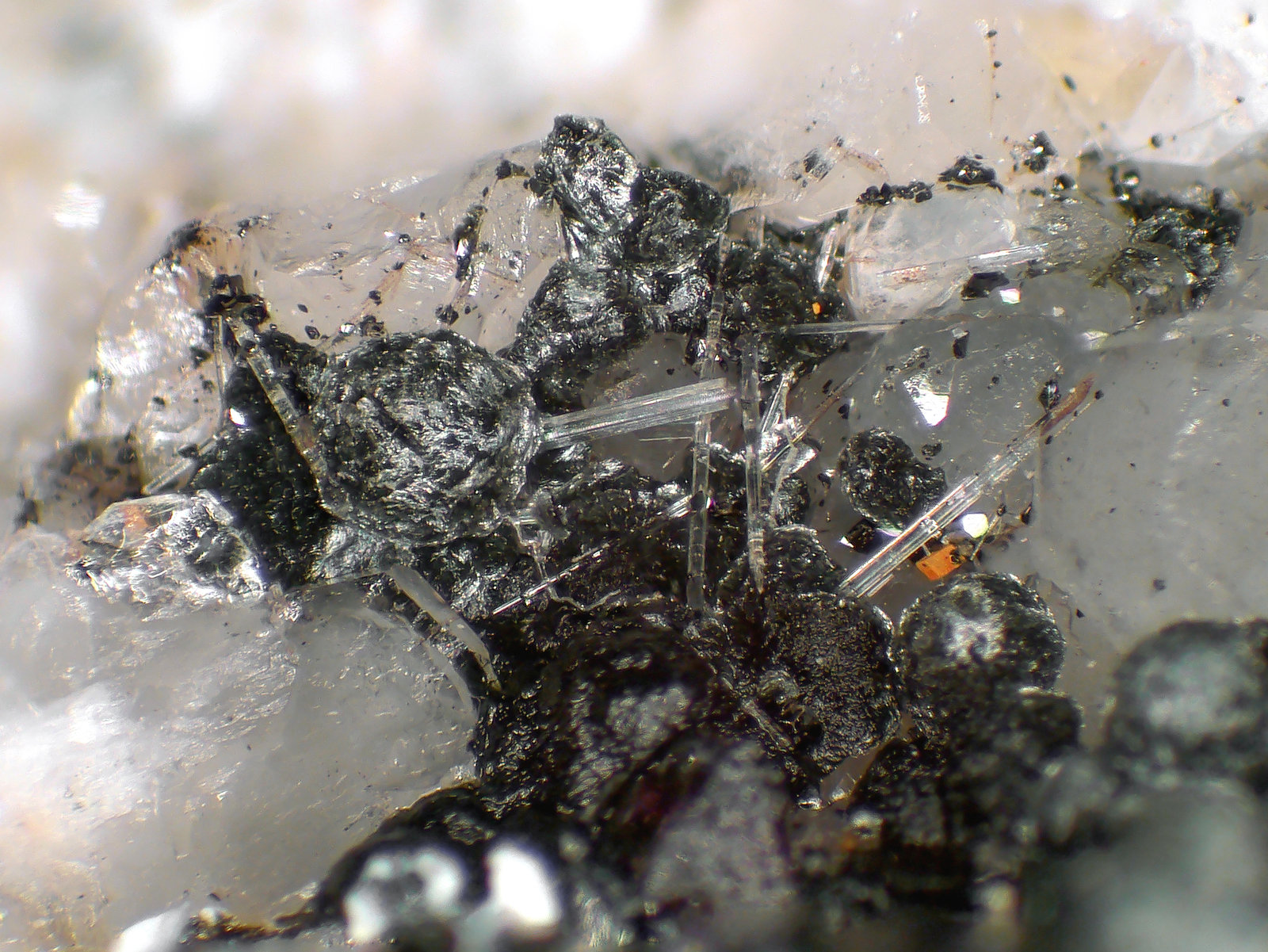 Burbankita, Clorita, Ilmenita, Analcima
Cristales de 2 mm.
(Autor: Antonio P. López)