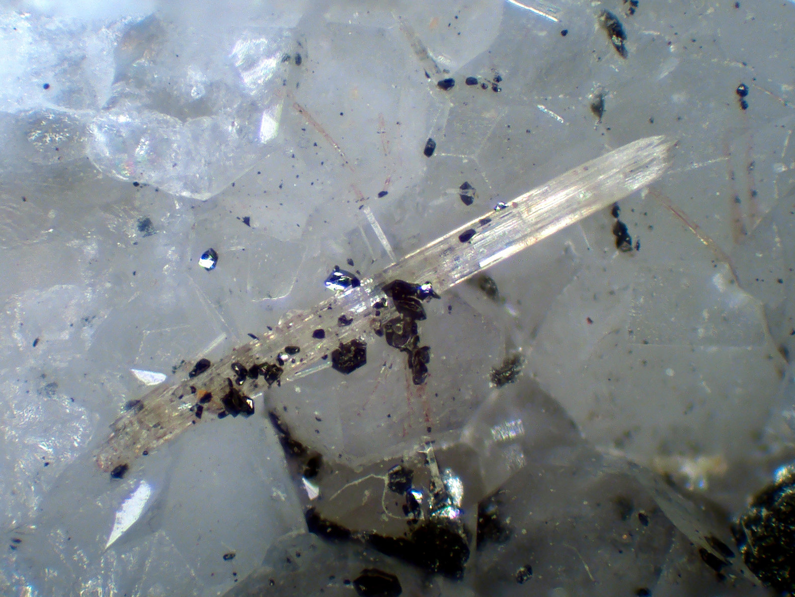 Burbankita, Ilmenita, Analcima
Cristal de 2 mm.
(Autor: Antonio P. López)