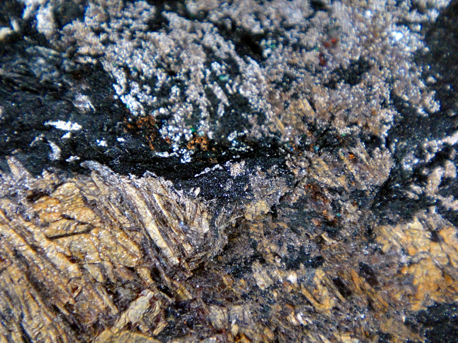 Defernita, Hausmannita, Cobre
Campo de visión 2 cm.
(Autor: Antonio P. López)