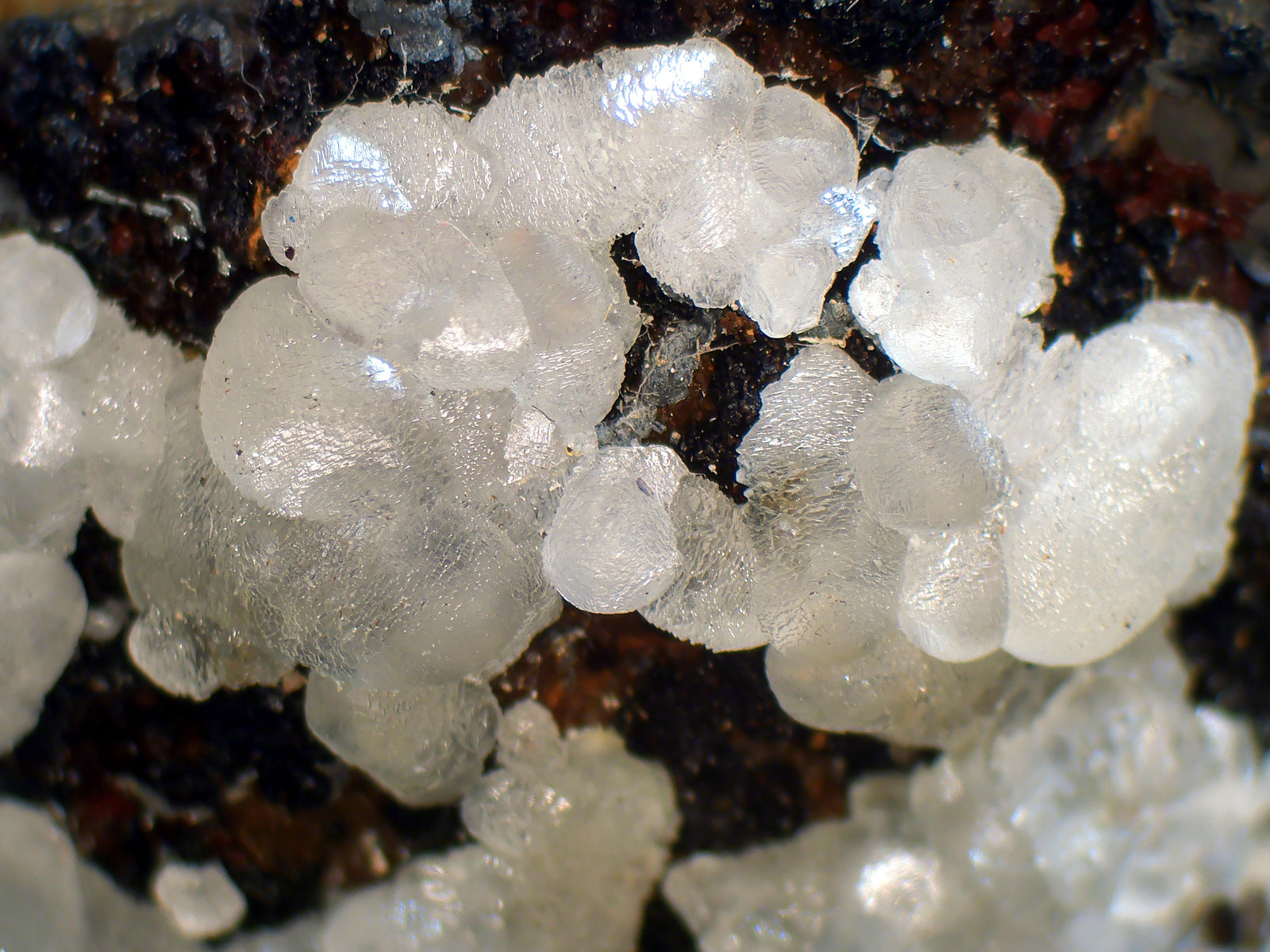 Smithsonita
Campo de visión 2 cm.
(Autor: Antonio P. López)