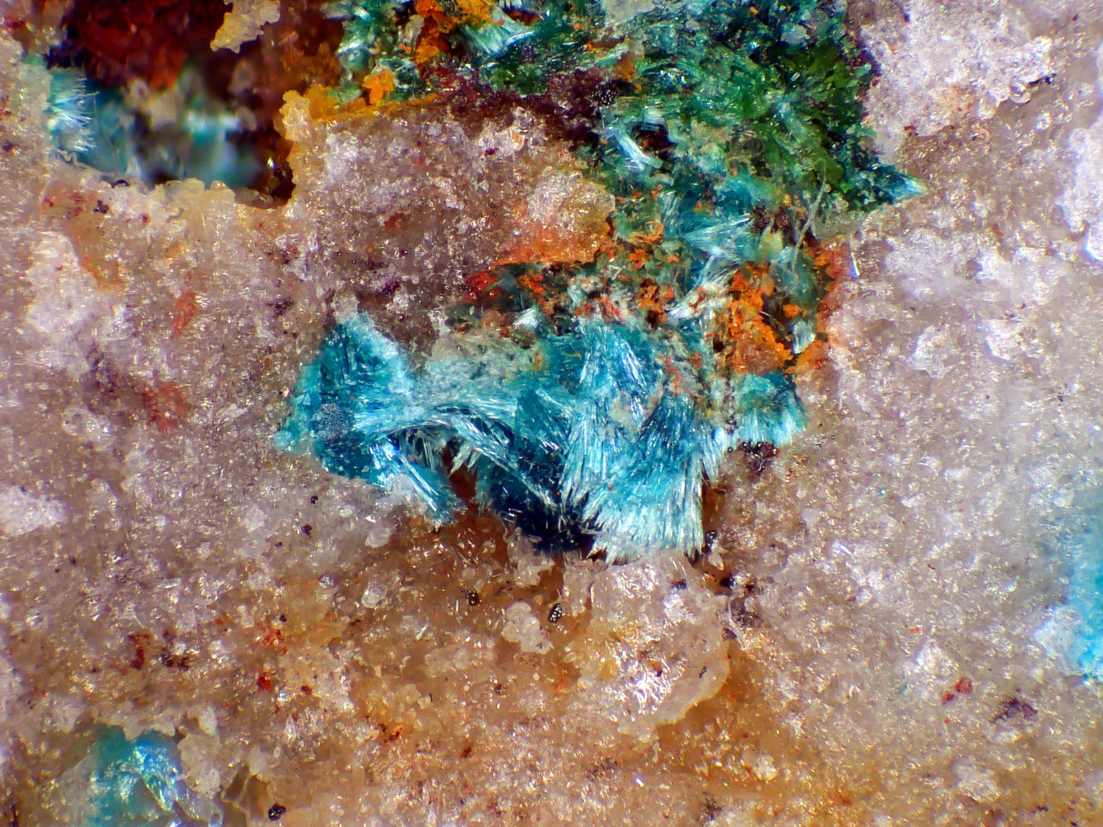 Rosasita
Campo de visión 4 mm.
(Autor: Antonio P. López)