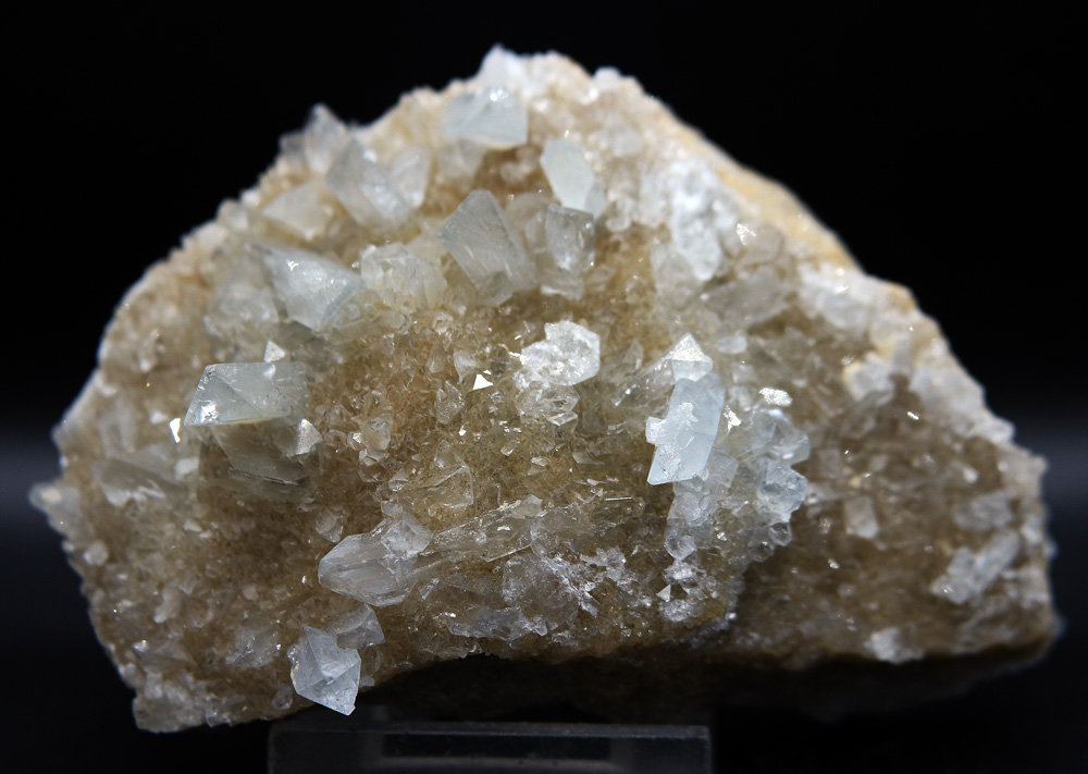 Celestina
10 x 6.5 cm
(Autor: Pedro Antonio)