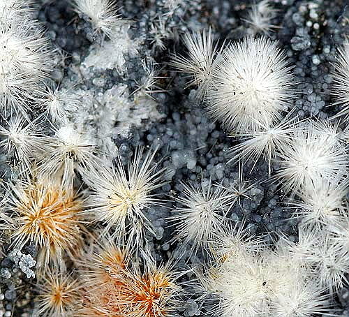 Canavesita
Campo de visión 1,2 cm.
(Autor: Antonio P. López)