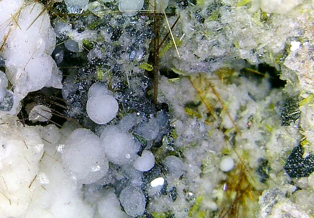 Calcita, Diópsido, Yuanfuliita
Campo de visión 5 mm.
(Autor: Antonio P. López)