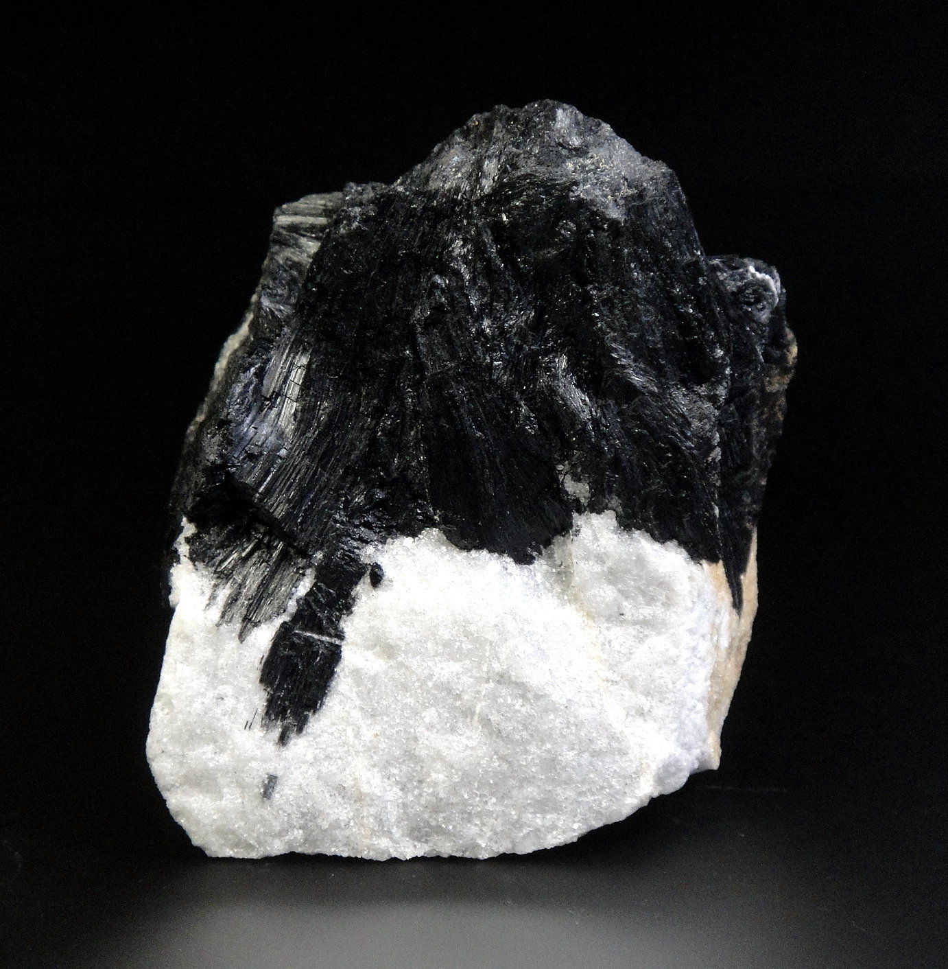 Ludwigita
5,5 x 4 cm.
(Autor: Antonio P. López)