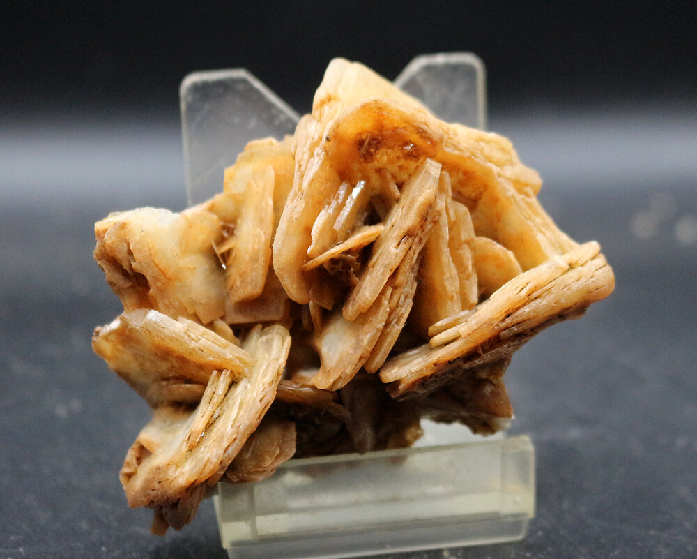Baritina
Mina Victoria, Cabezo de San Ginés, El Estrecho de San Ginés, Cartagena, Comarca Campo de Cartagena, Región de Murcia (Murcia), España
6.5 x 6 cm
(Autor: Pedro Antonio)
