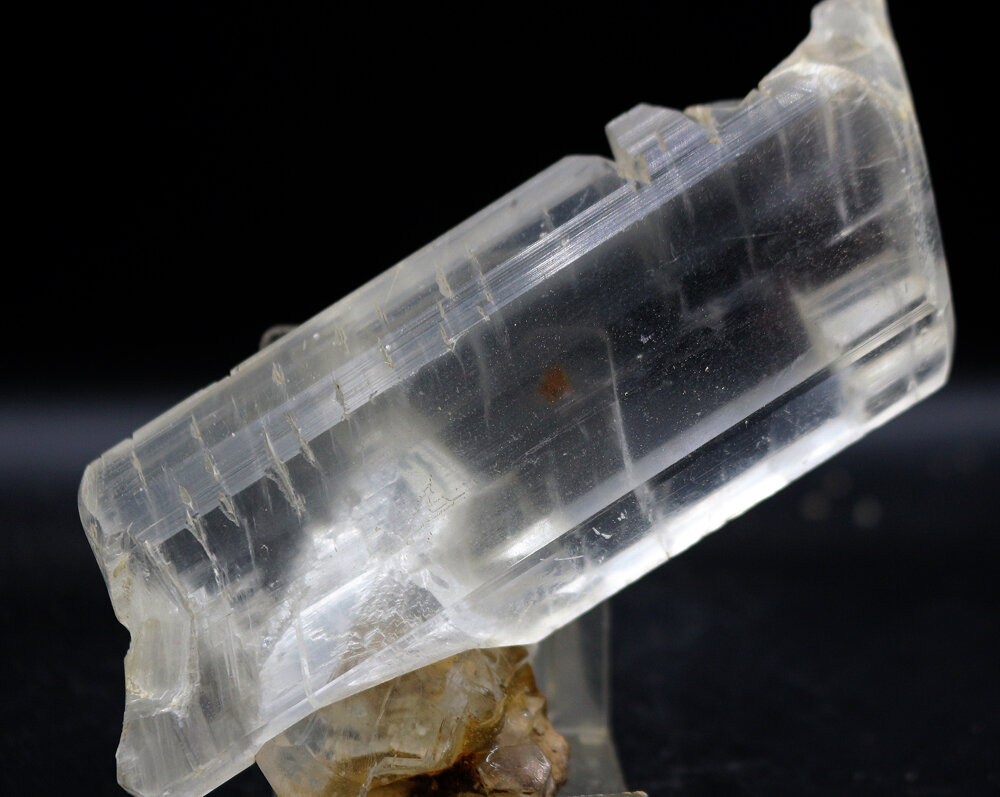 Yeso
12 x 4.5 cm
(Autor: Pedro Antonio)