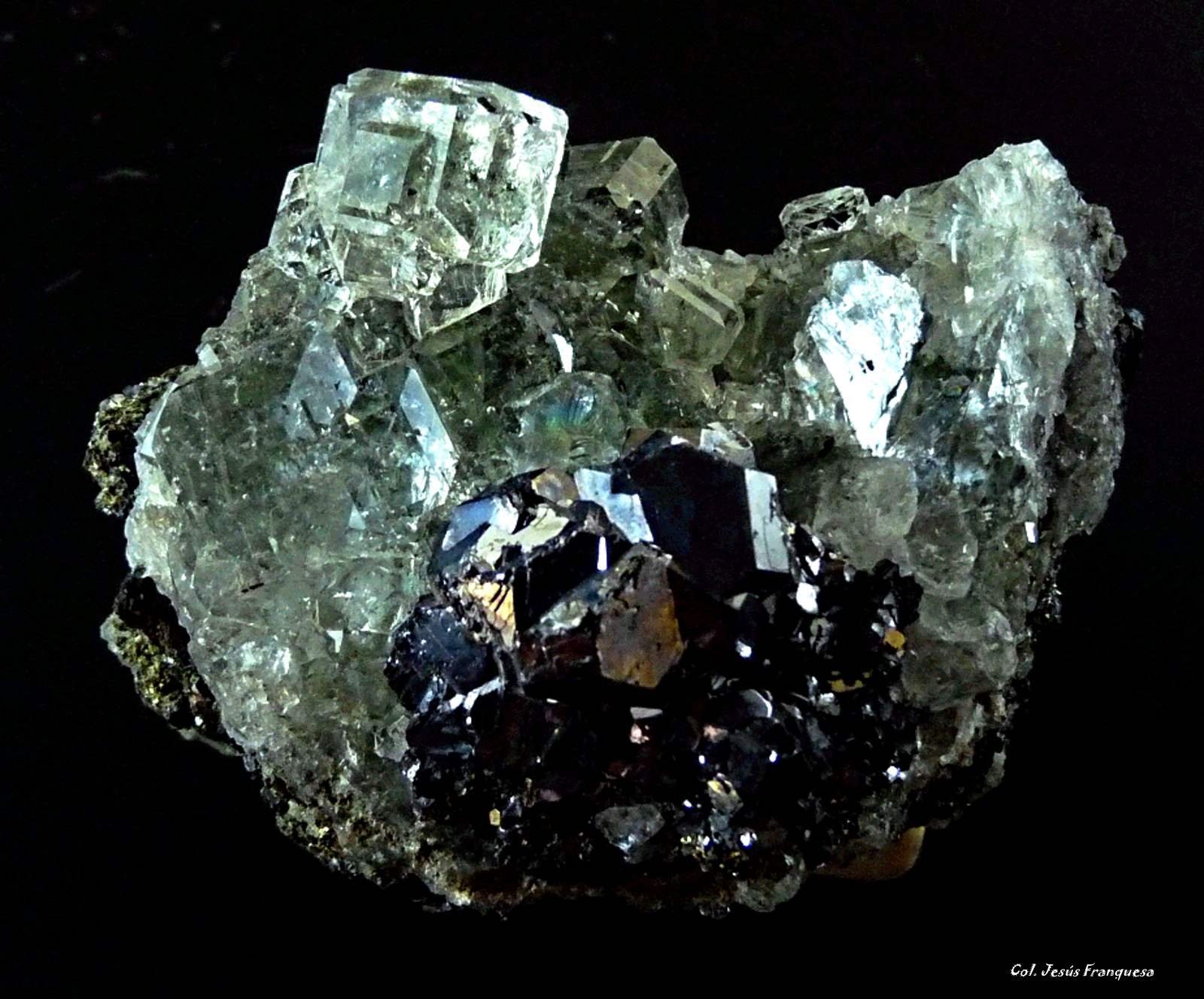 Fluorita y Galena.
60x40 mm.
(Autor: Jesus Franquesa Baucells)