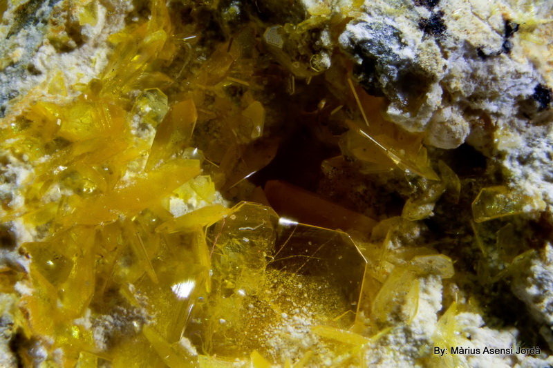 Wulfenita
Cristal mayor 2 mm
(Autor: Jorgina-Agusti-Màrius)