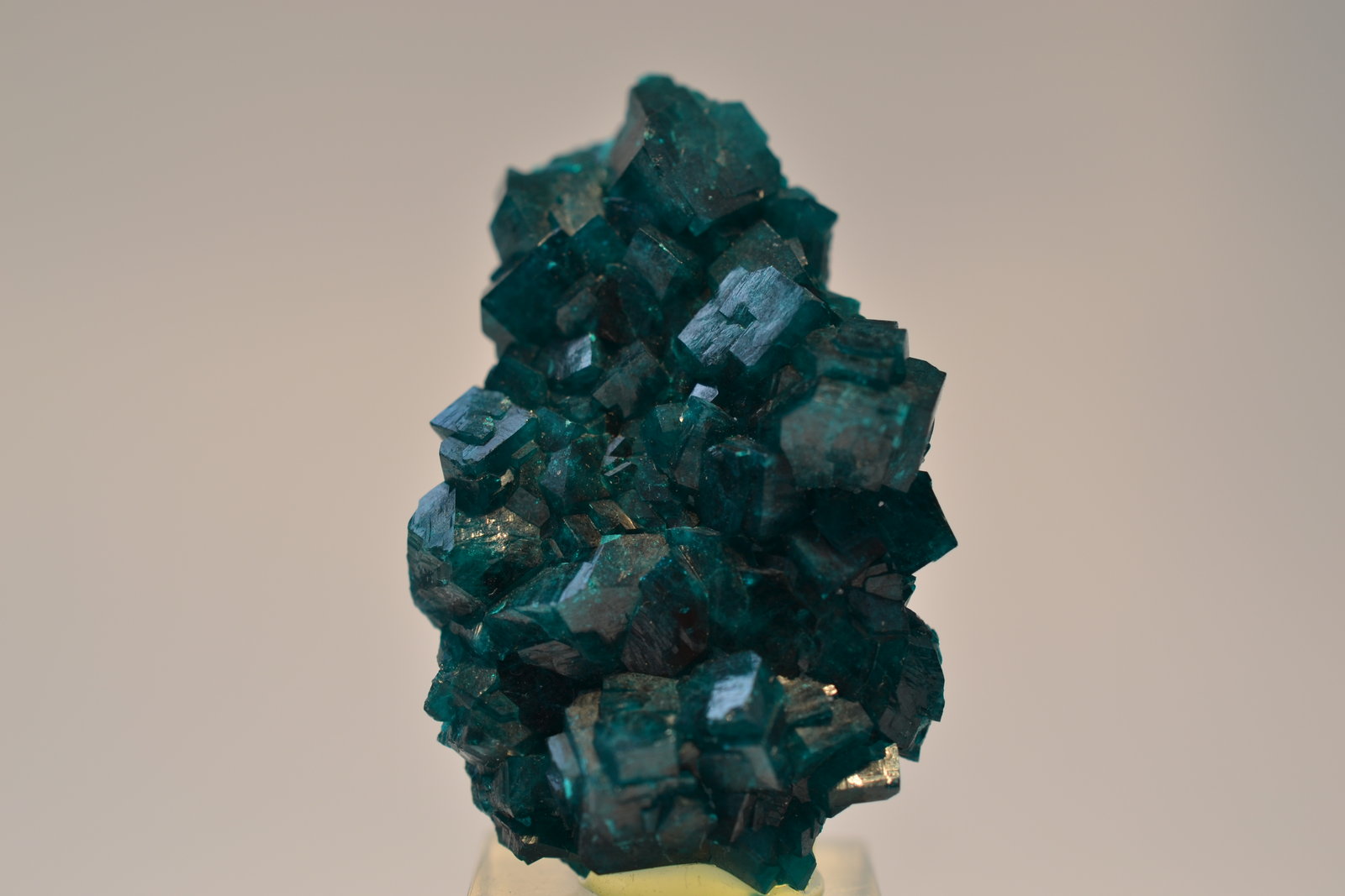 Dioptasa
4 x 2,5 x 1,5 cm
(Autor: Raúl S. Llorente)