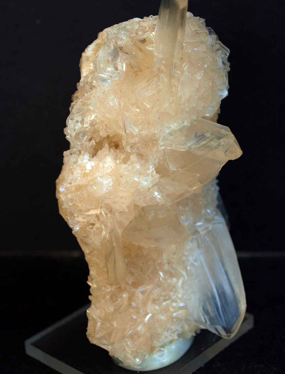 Yeso
10 x 5.5 cm
(Autor: Pedro Antonio)