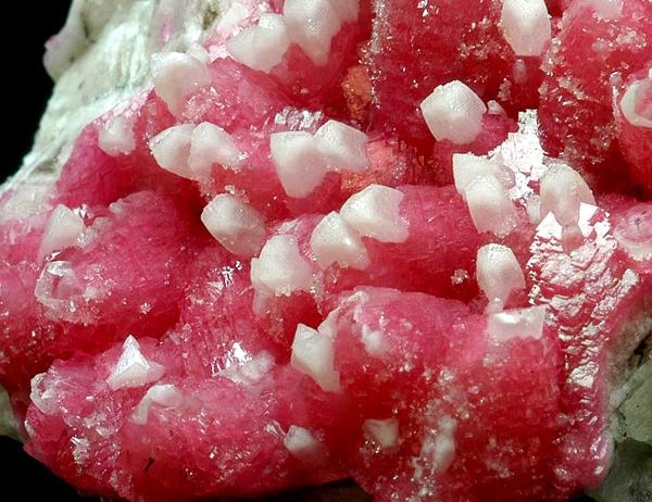 (Autor: Carlos Pareja)