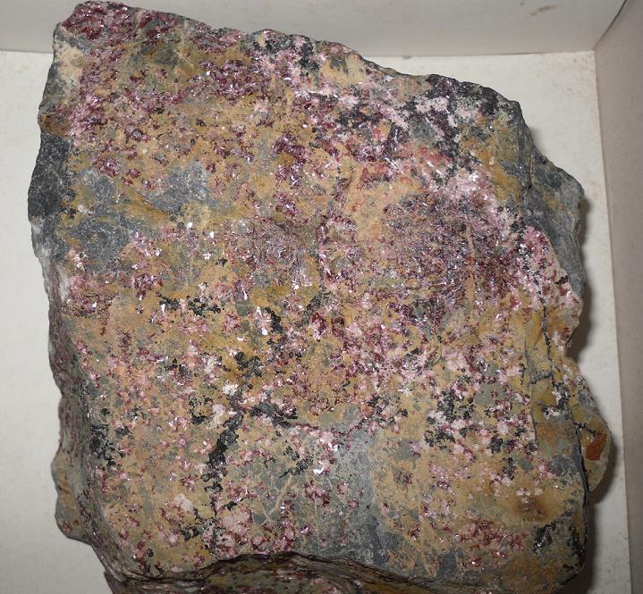 Eritrina
9 x 9 cm
(Autor: Jordi Franco)