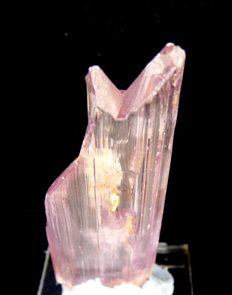 Espodumena (variedad kunzita)
80x25 mm.
(Autor: Jesus Franquesa Baucells)