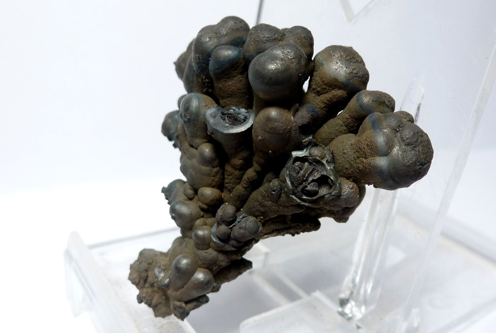Goethita
Medida: 4 x 3,9 x 2,5 cm
(Autor: Sergio Pequeño)