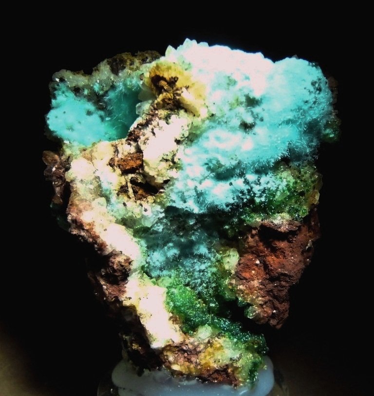 Mixita.
60x40 mm
(Autor: Jesus Franquesa Baucells)