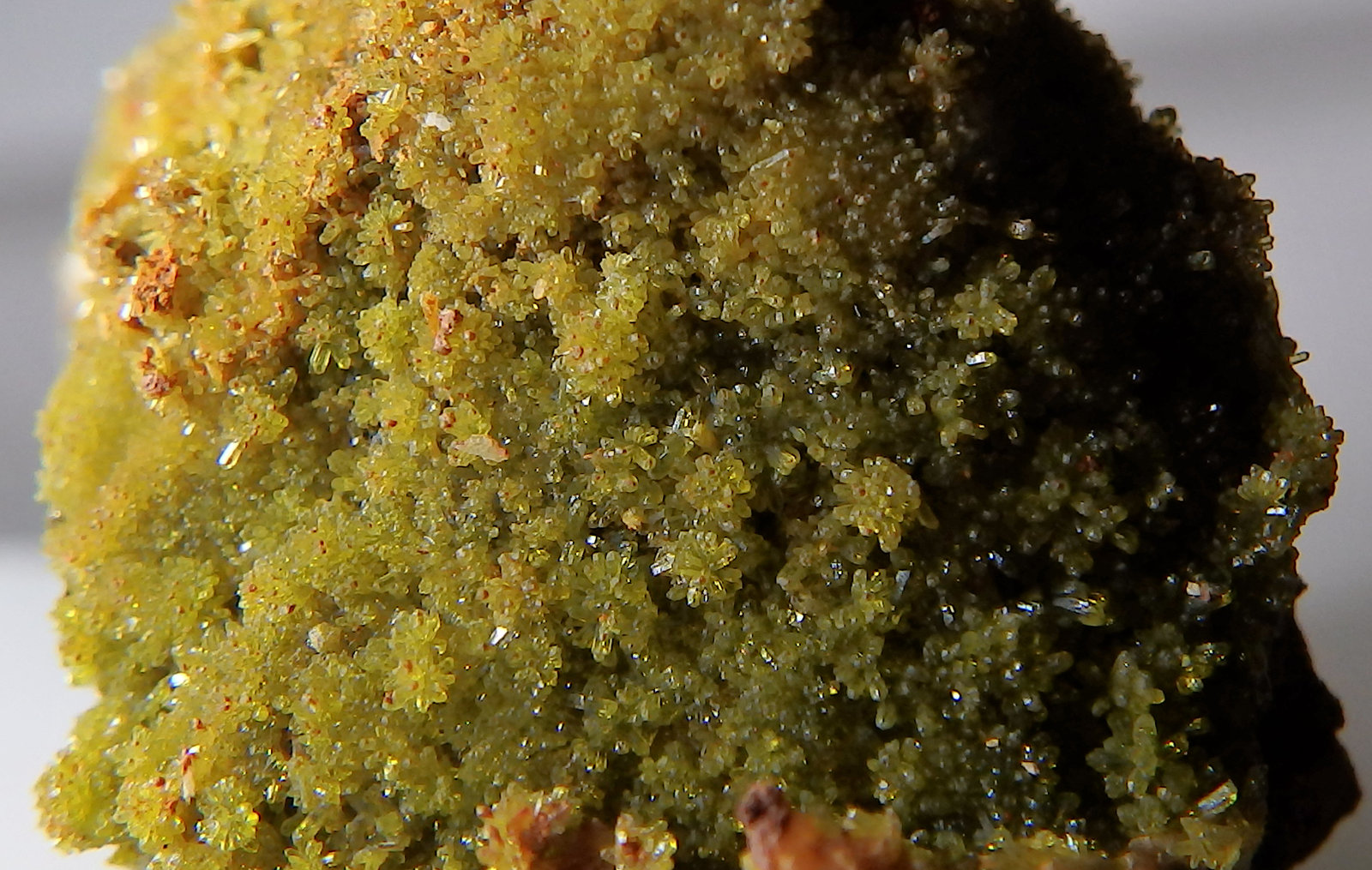 Piromorfita-Mimetita
Ancho de la pieza 1,8 cm
(Autor: heat00)