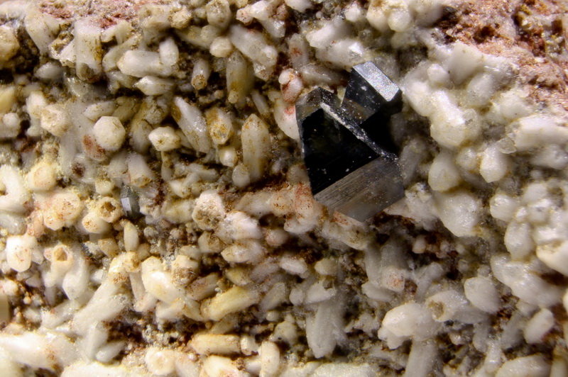 Anatasa
2, 1 mm
(Autor: Jorgina-Agusti-Màrius)