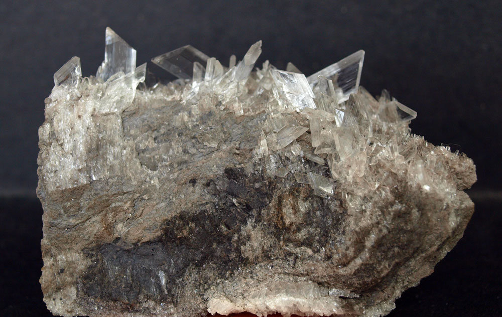 Yeso
9 x 6 cm
(Autor: Pedro Antonio)