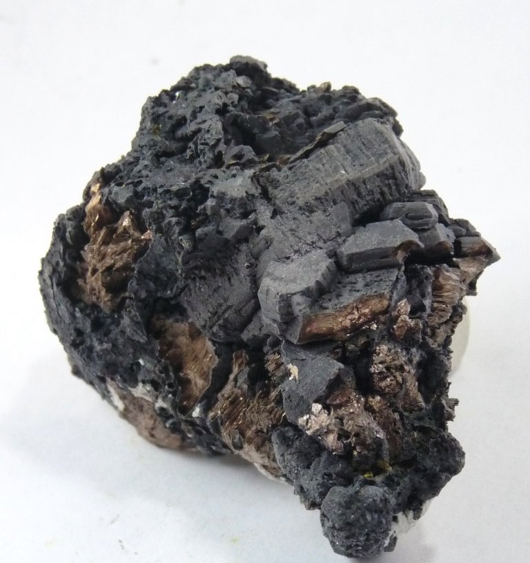 Niquelina.
50x40 mm.
(Autor: Jesus Franquesa Baucells)