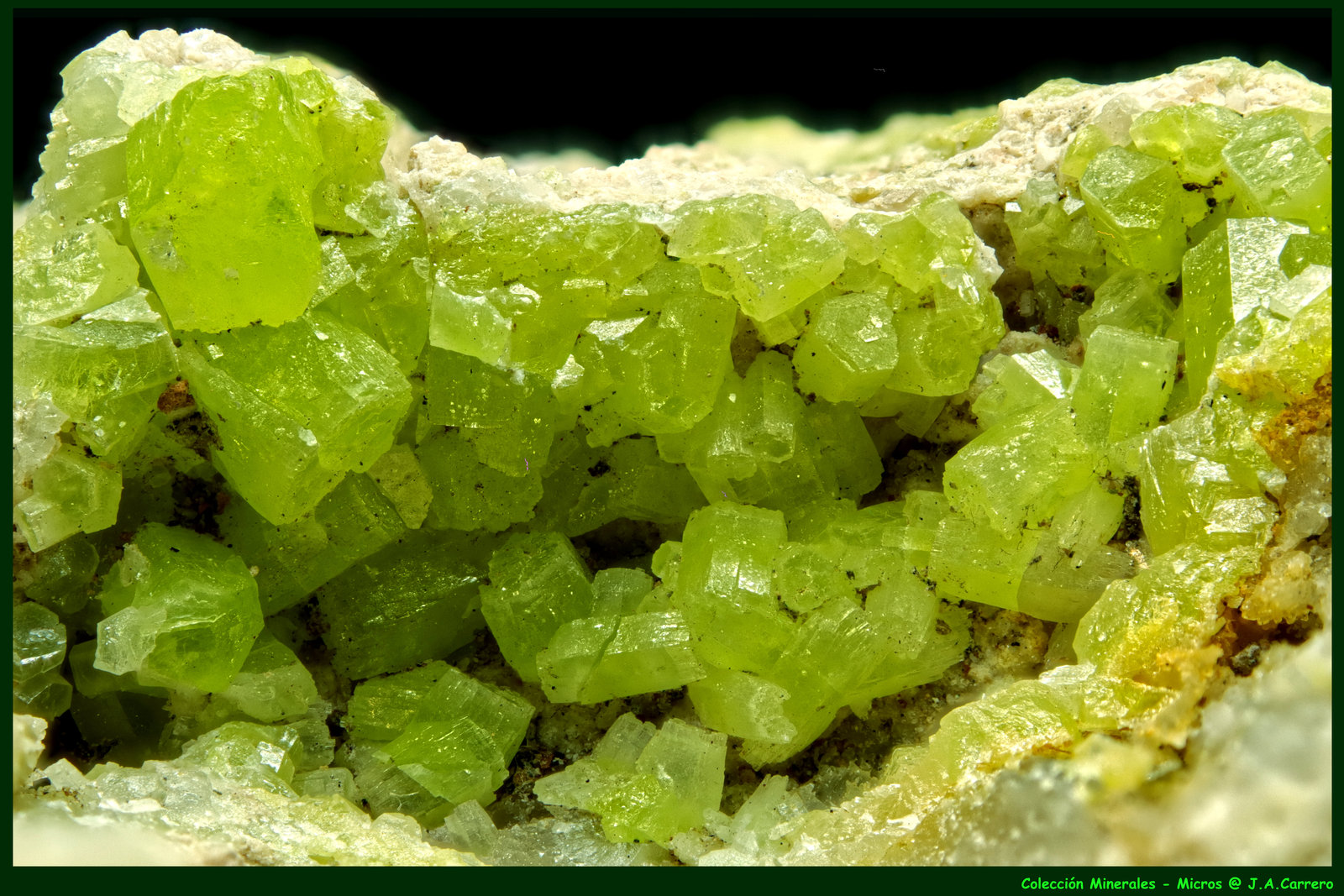 Piromorfita
FoV: 7 x 4,5 mm
(Autor: Jose Angel Carrero)