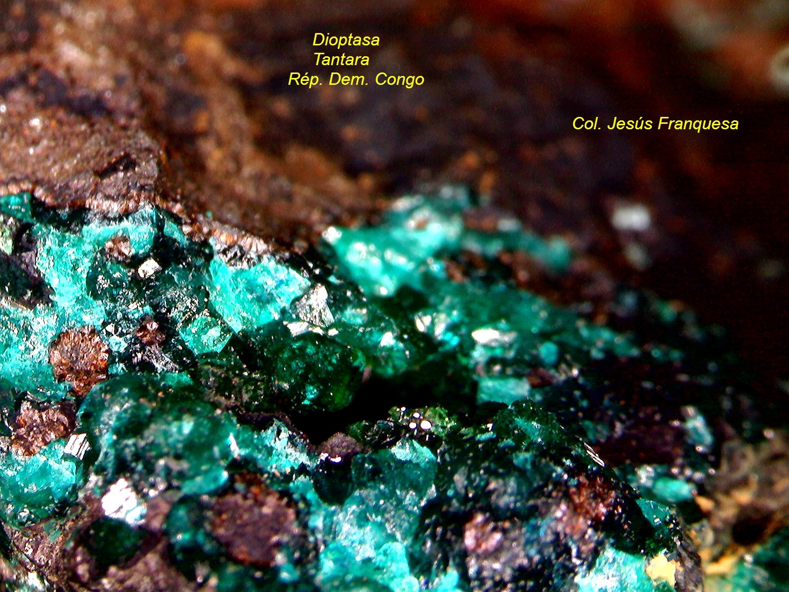 Dioptasa.
2´784 x 2´288 mm.
(Autor: Jesus Franquesa Baucells)