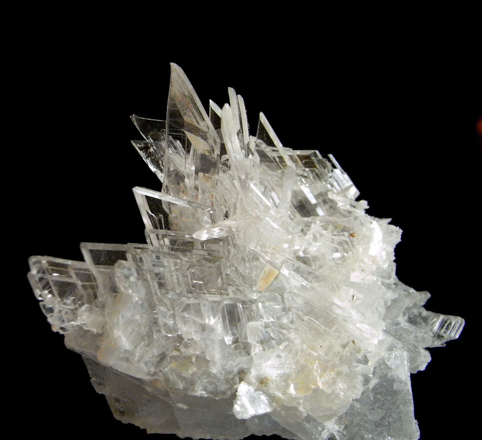 Yeso (variedad selenita)
Pieza 5.5x5.7cm cristales de 2.1cm
(Autor: DAni)