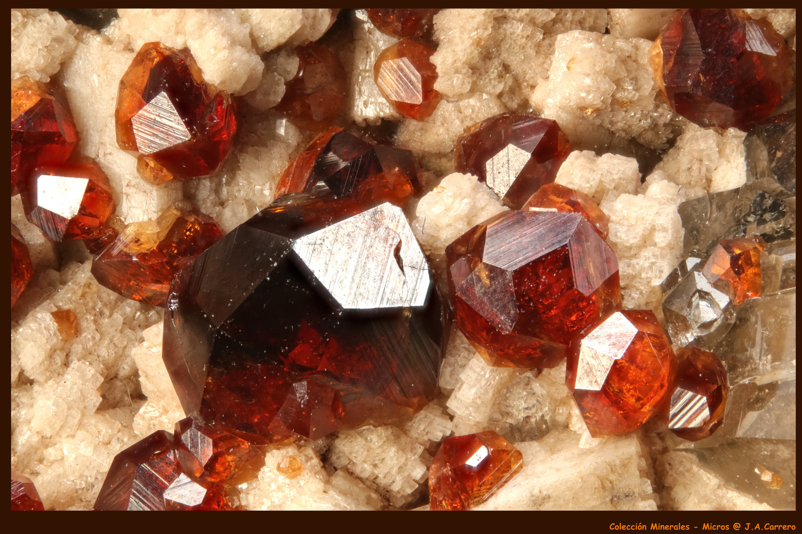 Spessartina
FoV: 2,5 x 1,7 mm
(Autor: Jose Angel Carrero)