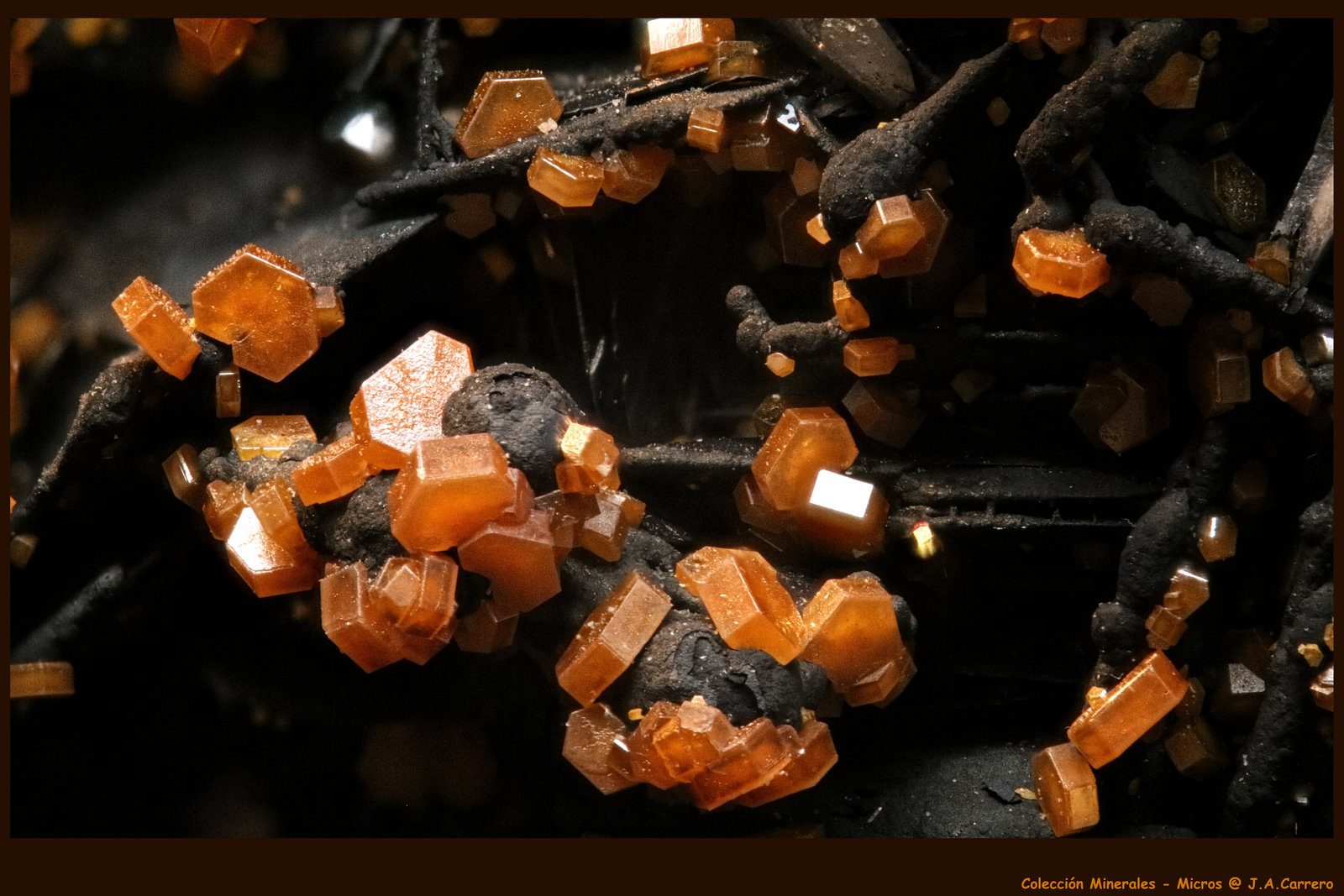 Vanadinita
FoV: 3 x 2 mm
(Autor: Jose Angel Carrero)