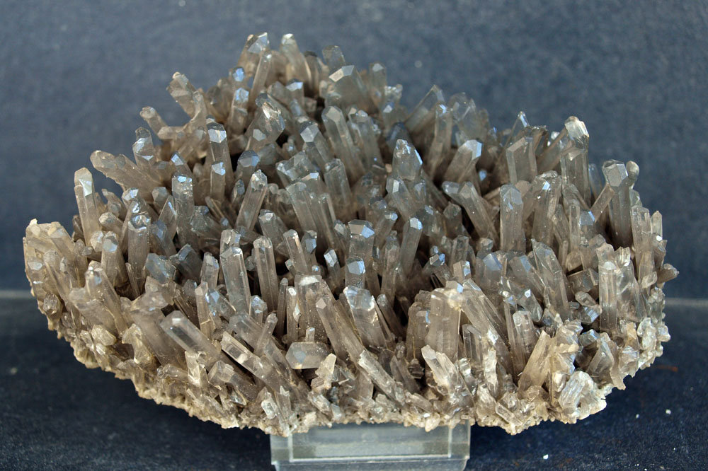 Yeso
13 x 7.5 cm
(Autor: Pedro Antonio)