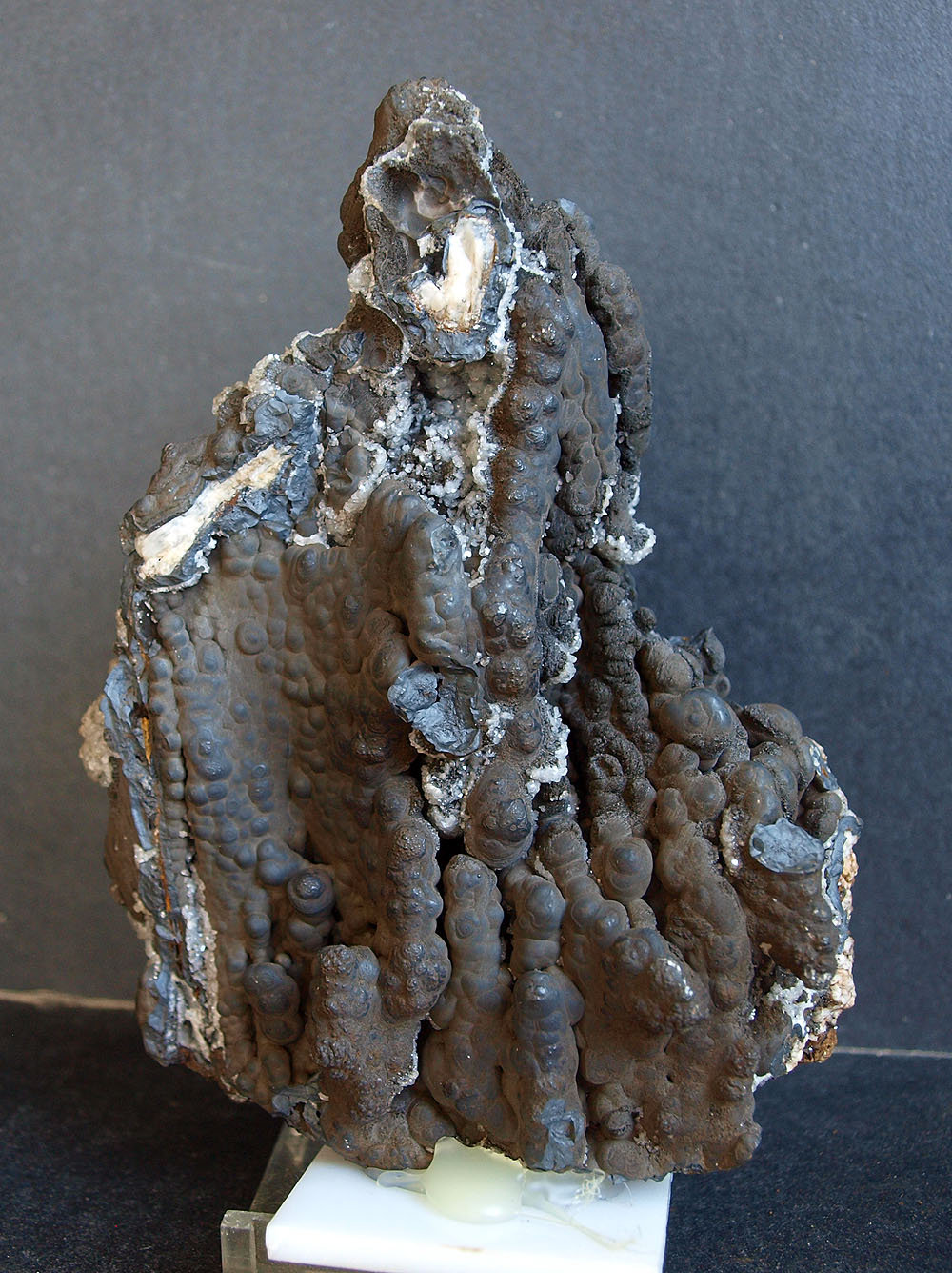 óxidos de manganeso (psilomelana)
13.5 x 9.5 cm
(Autor: Pedro Antonio)