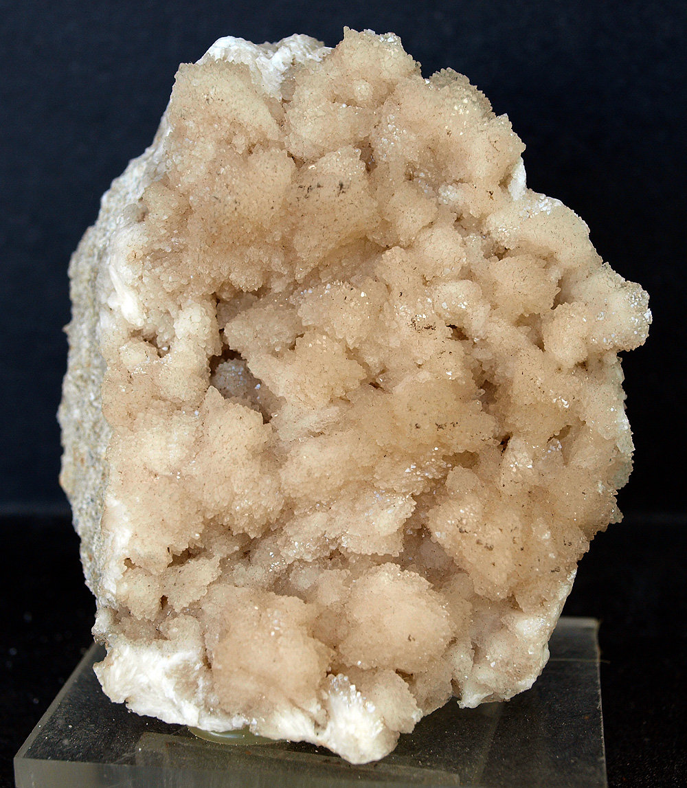 Celestina
9 x 6.5 cm
(Autor: Pedro Antonio)