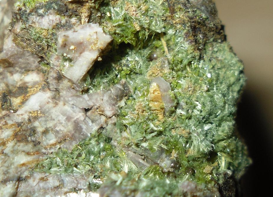 Pumpellita, epidota
2 x 2 cm encuadre de la foto
(Autor: Jordi Franco)