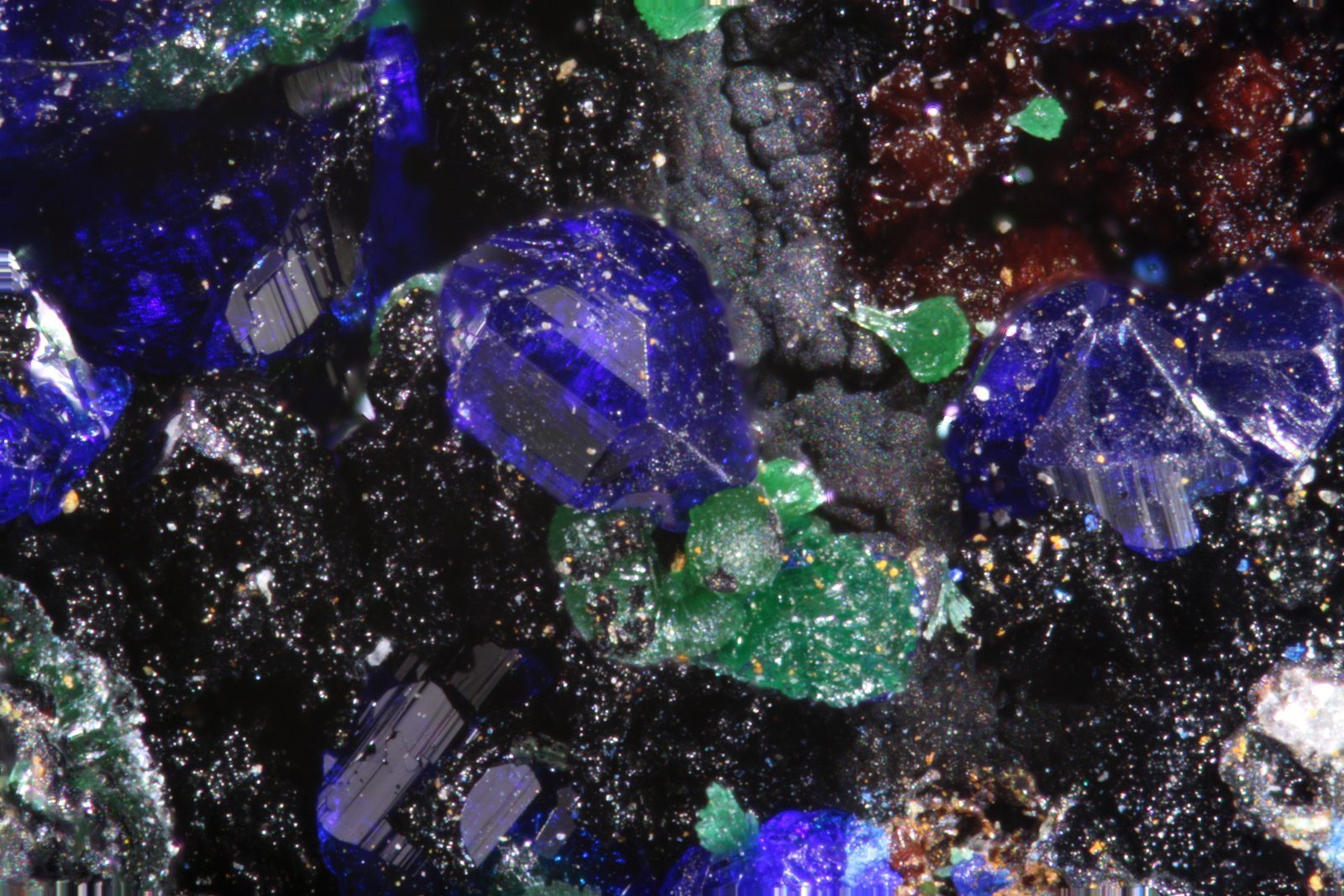 Azurita
Cristal mayor 0.8 mm
(Autor: Jorgina-Agusti-Màrius)