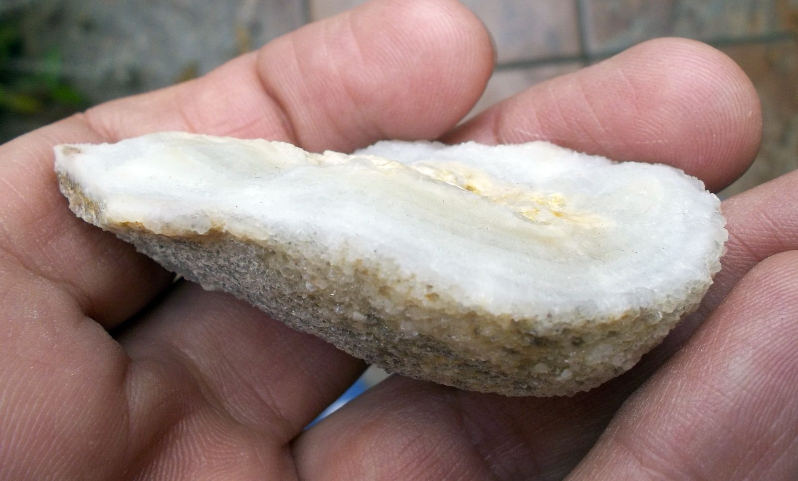 Cuarzo (variedad calcedonia)
6 x 3,5 cm
(Autor: Cristalino)