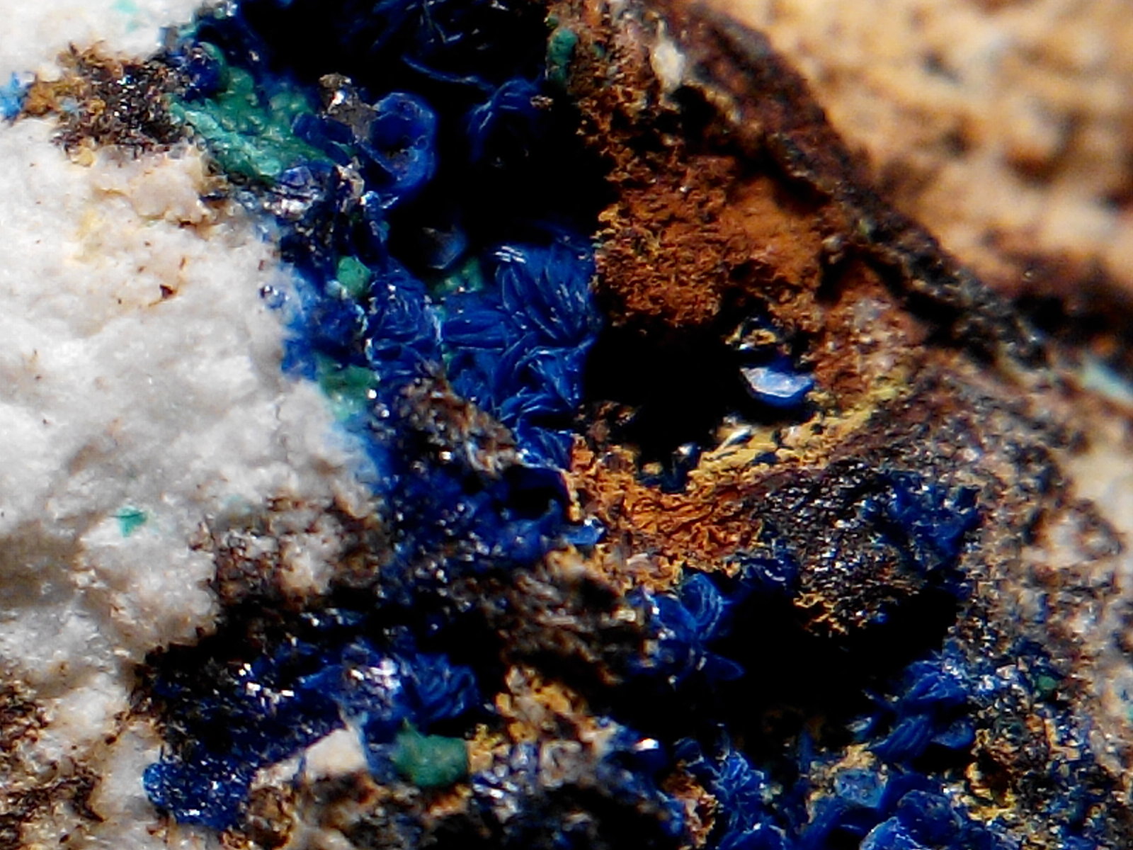 Azurita, Rosasita.
1 x 1 cm. (encuadre)
(Autor: Frederic Varela)