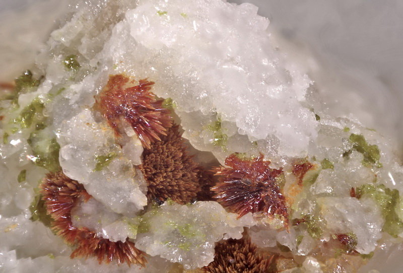 Carminita
Roseta del centro 1 mm
(Autor: Jorgina-Agusti-Màrius)
